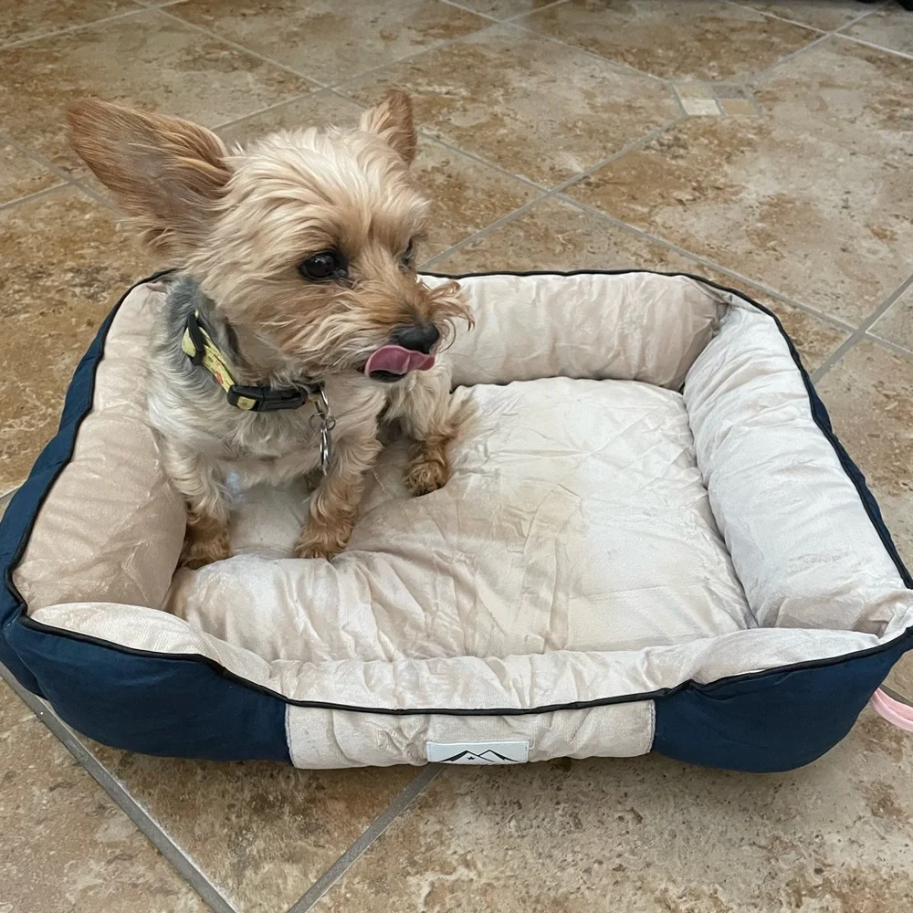 Medium size dog bed with lint brush and washable covering